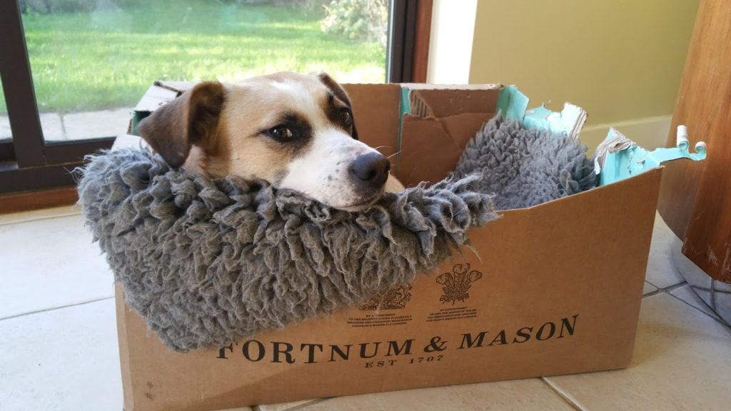 Packaging - Don't buy it in the first place.  This cardboard box from Fortnum and Mason - contained a hamper.  A Gift.  Think of a secondary use of the packaging if you can.
